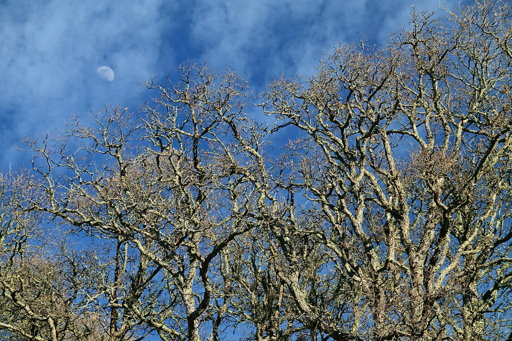 La Luna captada desde Mount Hamilton, California