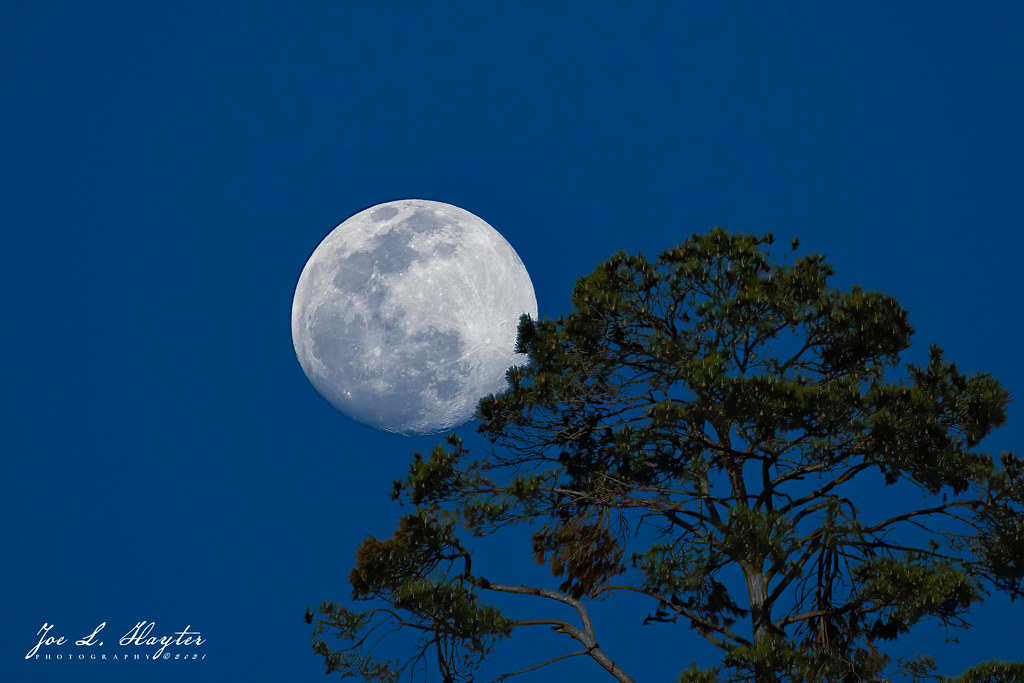 La Luna gibosa creciente captada desde Texas, Estados Unidos