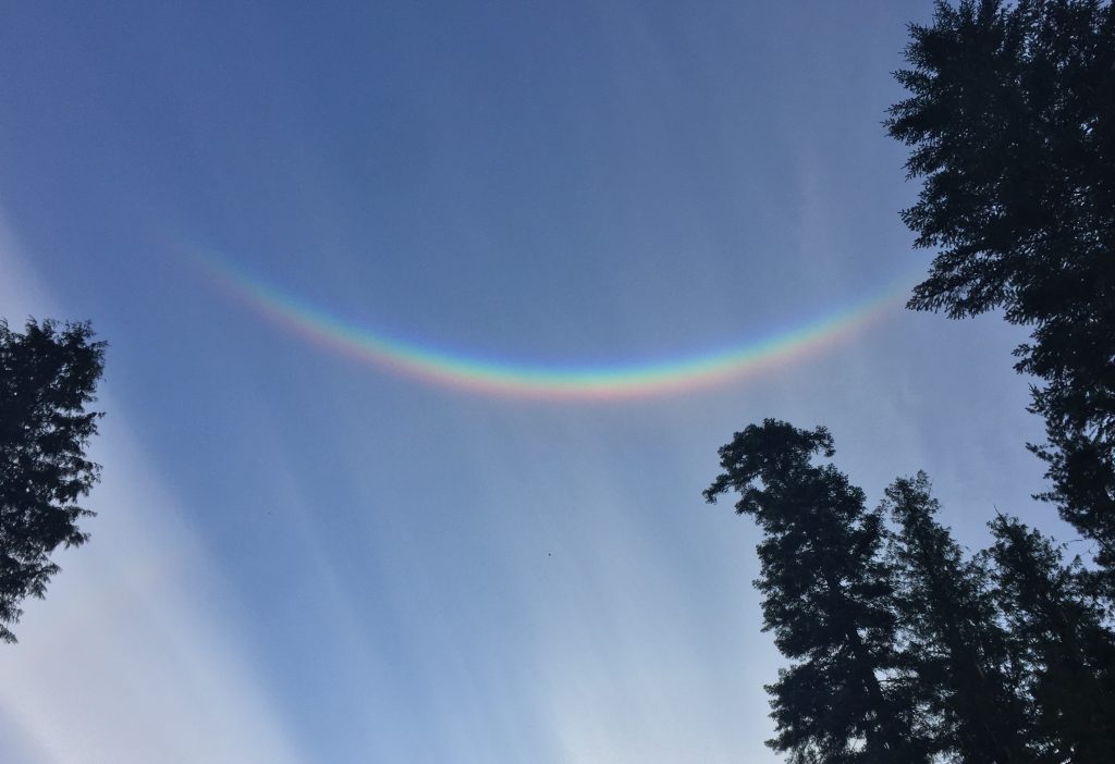 Arco circuncenital captado en Idaho, Estados Unidos
