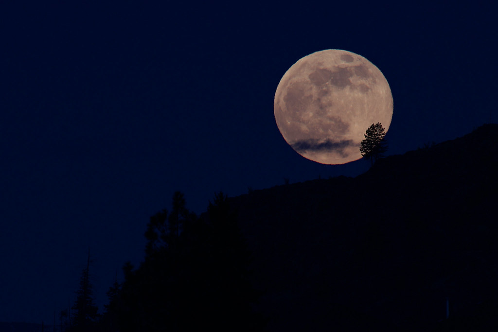 La Luna llena captada desde la Columbia Británica, Canadá