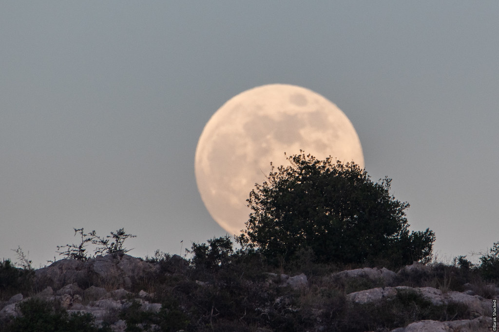 Imagen de la salida de la Luna tomada desde Israel